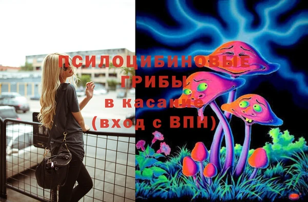 метадон Алексеевка