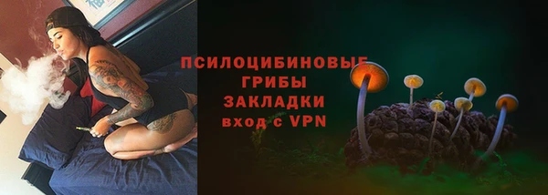 а пвп мука Краснослободск