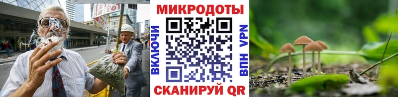 закладка  блэк спрут ONION  Галлюциногенные грибы прущие грибы  Керчь 