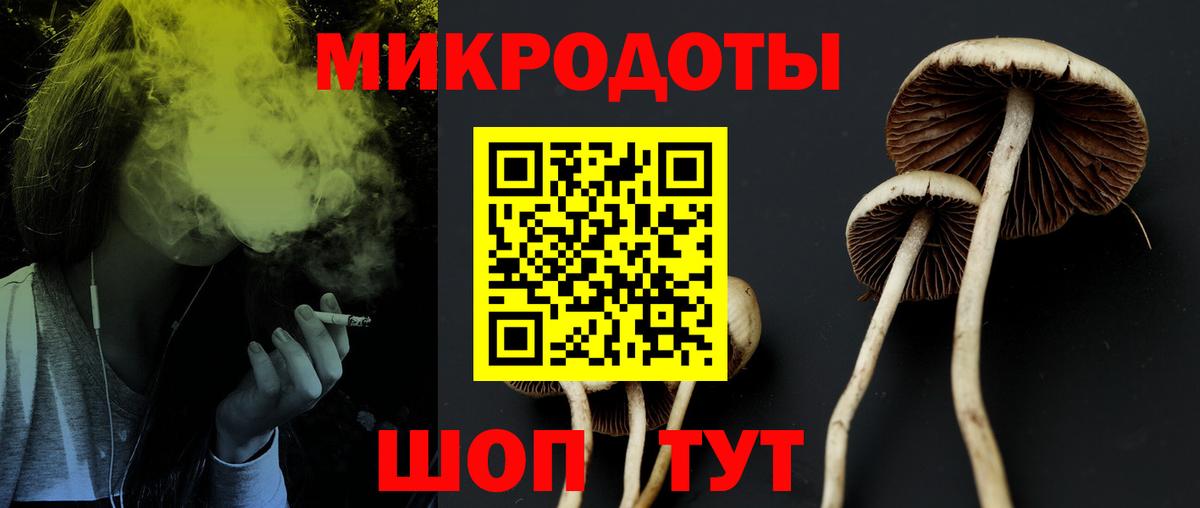 Галлюциногенные грибы GOLDEN TEACHER  купить наркотик  Керчь  Вход с VPN 